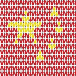 China flag