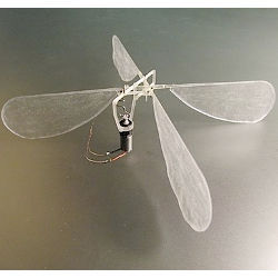 ornithopter robot