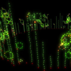 Network controllability structure