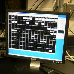 brain signals on computer display