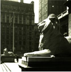 NYPL lions Patience and Fortitude