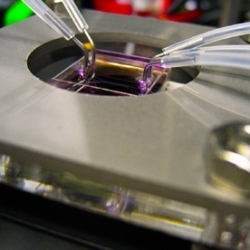 Hydrothermal synthesis