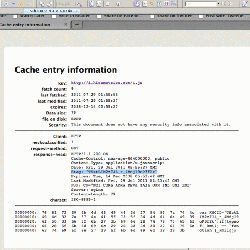 Browser cache cookie