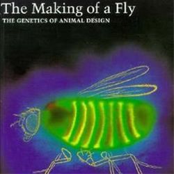 The Making of a Fly by Peter A. Lawrence