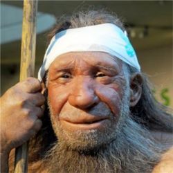 Old Neanderthal