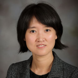 Virginia Tech assistant professor Yaling Yang