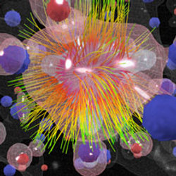 Multi-center hydrogen bond