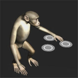 Virtual monkey touch