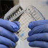 Transparent, Super-Stretchy Skin-Like Sensor