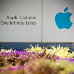 Apple, Cupertino