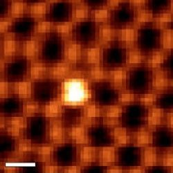 electron microscopy of 'atomic antennae'