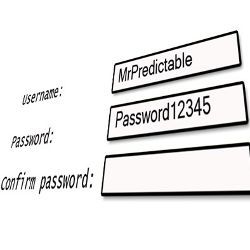 username and password fields