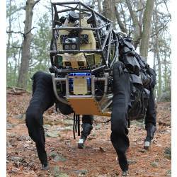 DARPA's Legged Squad Support System 