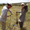 Chicago Computer Scientists Develop Tools to Help Ecologists in Kenya