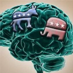 Political brain