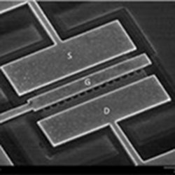 Tunneling field effect transistors 