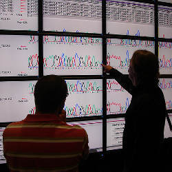 researchers at the TACC Visualization Wall