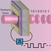Graphene-Based Terahertz Devices: The Wave of the Future