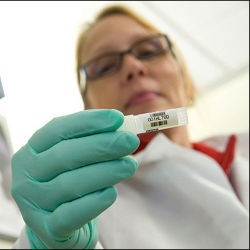 female lab technician holding a sample