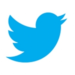 Twitter bird