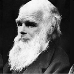 Darwin-Turing blend