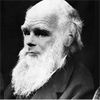 'a Perfect and Beautiful Machine': What Darwin's Theory of Evolution Reveals About Artificial Intelligence