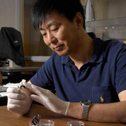 University of South Carolina Professor Xiaodong Li