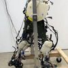 'most Realistic' Robot Legs Developed