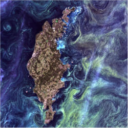 Van Gogh from space