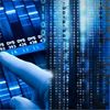 Big Data and Dna: What Business Can Learn from Junk Genes