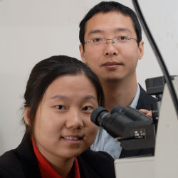 Missouri S&T assistant professors Jie Gao and Xiaodong Yang