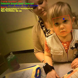 Eye-tracking glasses 