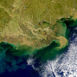 Gulf Coast satellite image