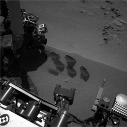 Curiosity five scoops