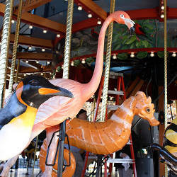 National Zoo carousel 