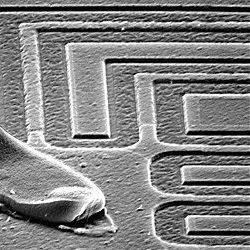 SEM micrograph of a transistor chip