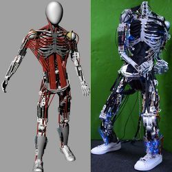 the musculoskeletal Kenshiro robot