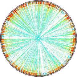 genome diagram