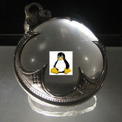 Linux penguin and crystal ball