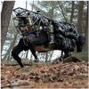 Robotic 'pack Mule' Would Relieve Equipment Burden For Soldier in the Field