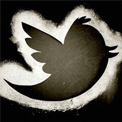 Twitter bird shadow