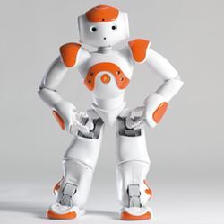 The NAO programmable humanoid robot