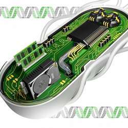 Genetic circuits in bacterial cells