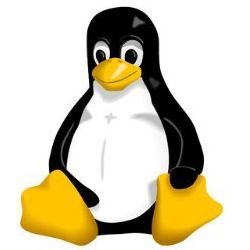 Linux penguin