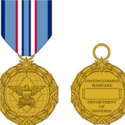 Distinguished Warfare Medal