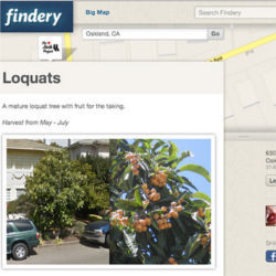 findery.com screenshot