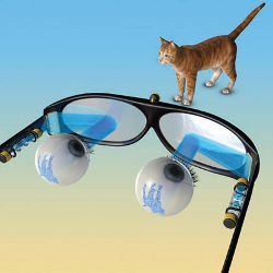 glasses-mounted holographic retinal prosthesis, illustration