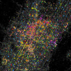 A map of Twitter use in NYC