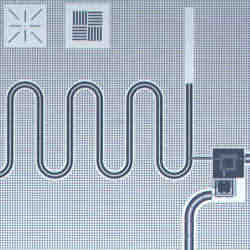 Schematic of part of a superconducting chip.