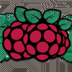 Raspberry Pi berries